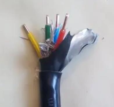 氟塑料F46控制高溫電纜